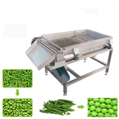 Commercial Green Pea Peeling Machine 20kg per hr